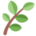 :herb: :herb: