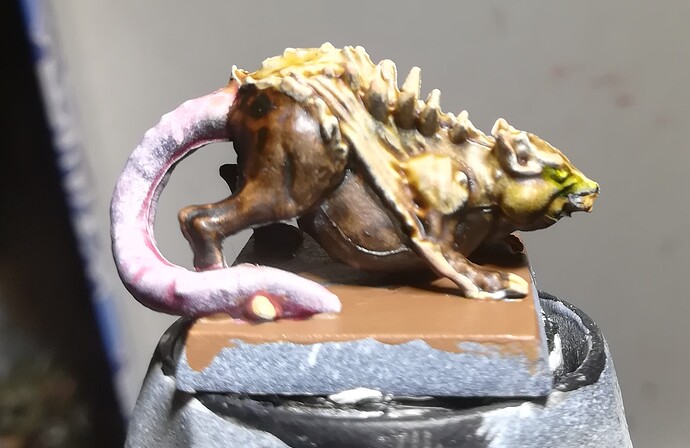 Rat_2