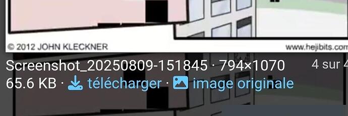 Screenshot_20250809_223537_Chrome