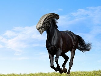 alien_horse