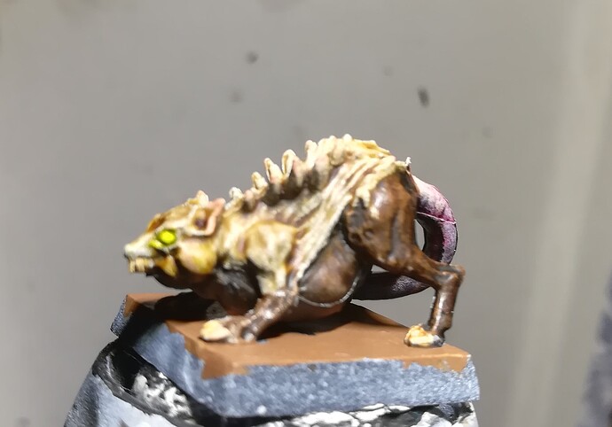 Rat_1