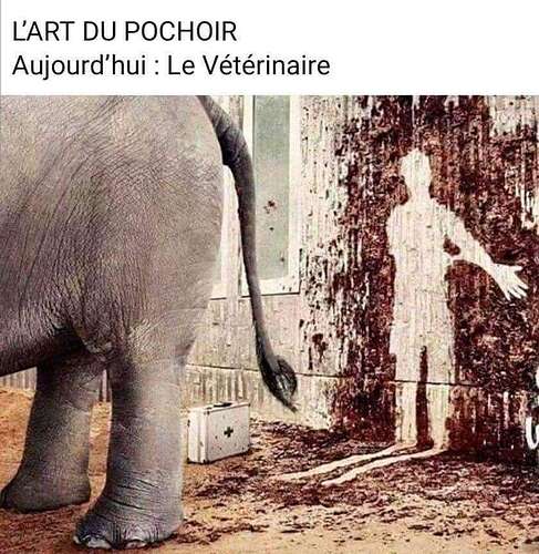 FB_IMG_1746386609227