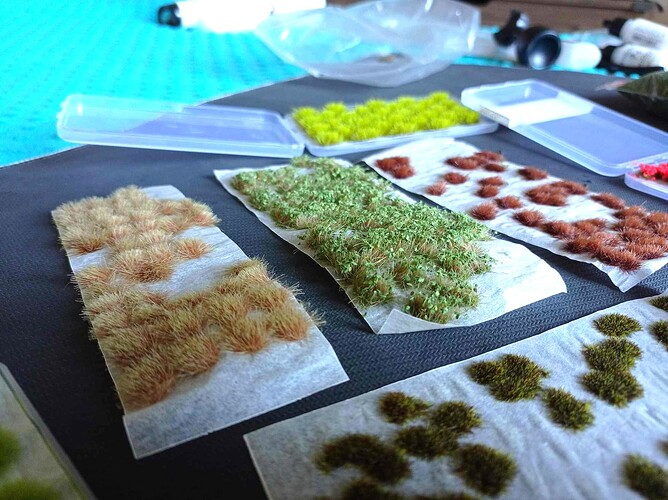 462550149_513022218231561_9080725716752724915_n