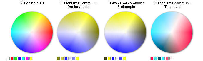 daltonismcercle chromatique