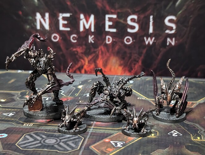 PXL_20241119_220027830