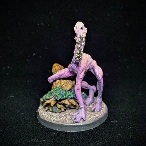 PXL_20241122_111304544.MP~2