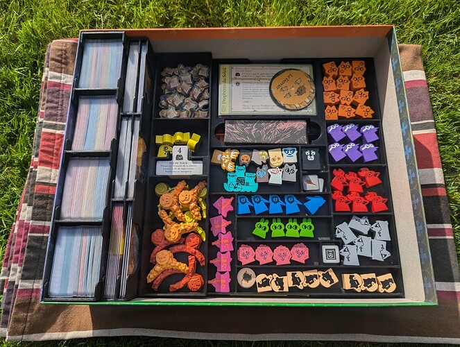 PXL_20241012_141744975