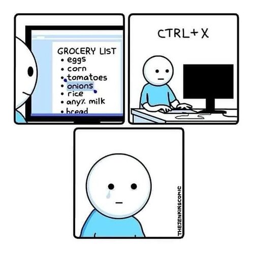 CtrlX-1731828941293