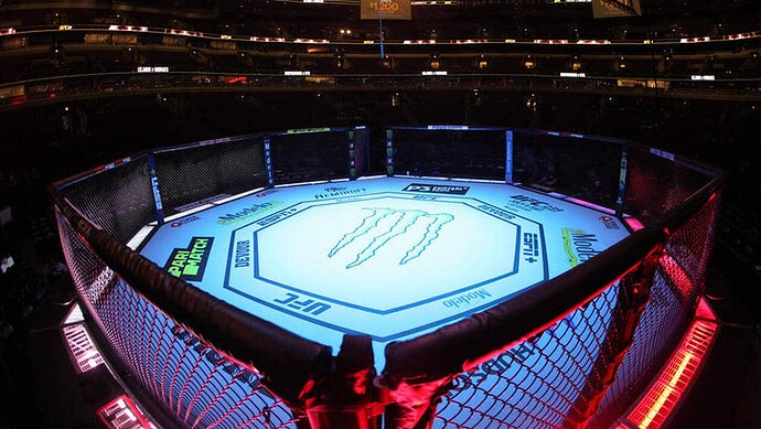 Octogone-Légalisation-MMA-en-France