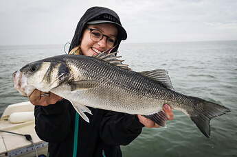 bar_pecher_au_nitro_shad
