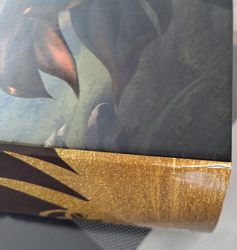 IMG_20250111_140805_1