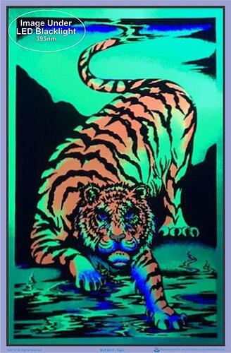posters-tiger-black-light-poster-100137-12846809776181