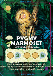 Canopy_Cards_Wildlife_PygmyMarmoset