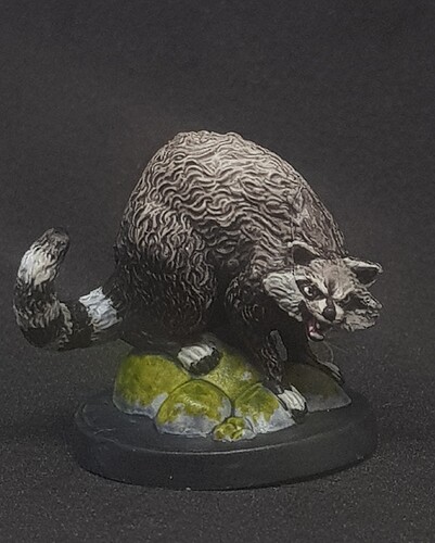 Druide_Racoon_Face