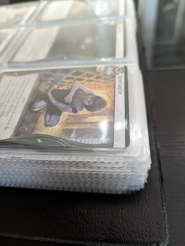 PXL_20230925_144422573