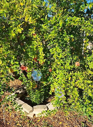 FB_IMG_1760332809156