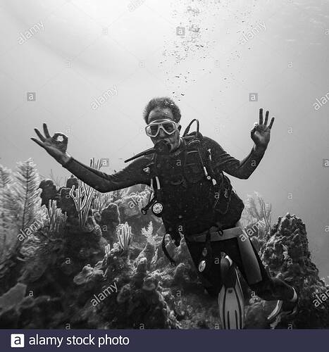 scuba-diver-showing-ok-sign-fish-den-roatan-marine-park-honduras-2B7XG4P