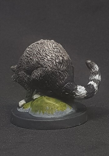 Druide_Racoon_Dos