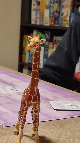 IMG-20251010-WA0078