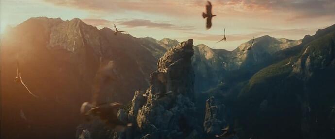 eagles