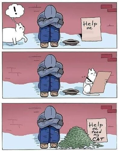 cat_meme