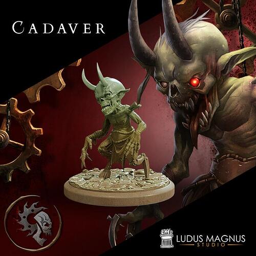 206245905_4142757495804729_4500607253433508595_n