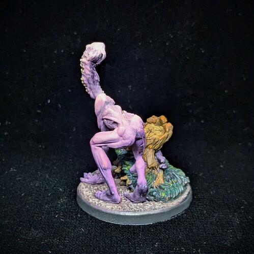 PXL_20241122_111312491.MP~2