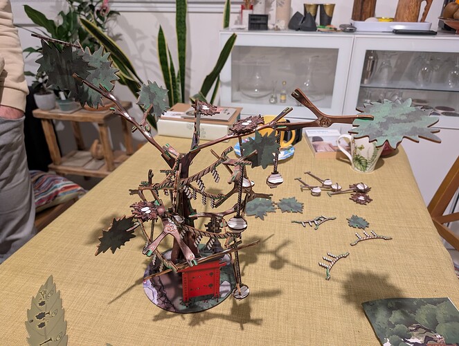 PXL_20250126_174916534