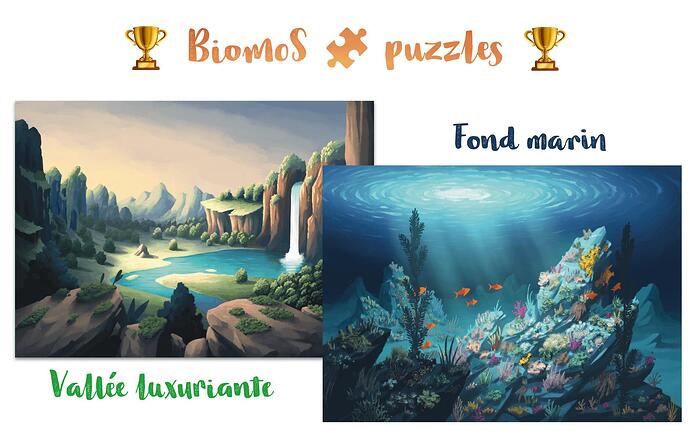 choix-puzzle-winner