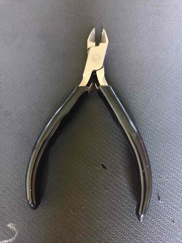 462577930_1056383665976488_1870500286670391126_n