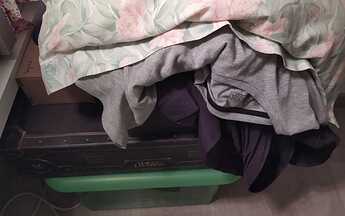IMG_20201020_001007_compress40