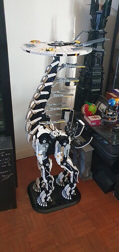 20250307_110027