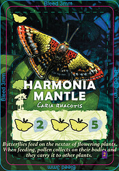 Canopy_Cards_Wildlife_HarmoniaMantle