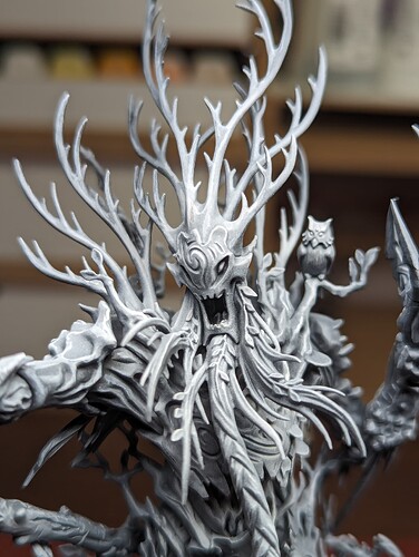 PXL_20240308_155857561