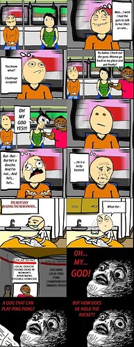 17373876639878428619997177169782