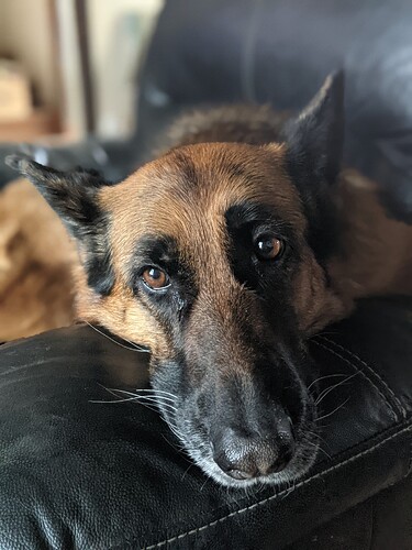 PXL_20210328_172742427.PORTRAIT