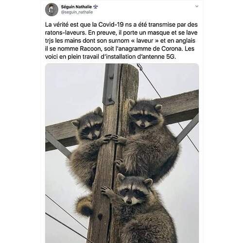 FB_IMG_1595390428129