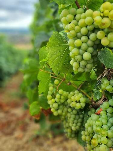 FB_IMG_1661337949262