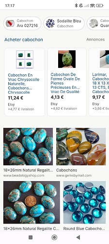 Screenshot_2024-08-10-17-17-38-833_com.ecosia.android