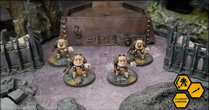 li_contemptors_01