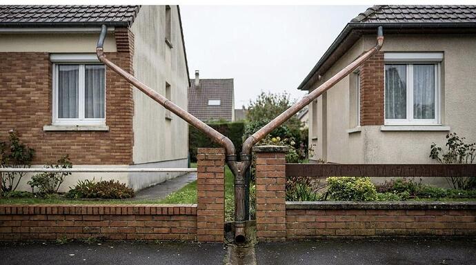 IMG_7950