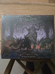 WhatsApp Image 2026-01-19 at 15.29.03