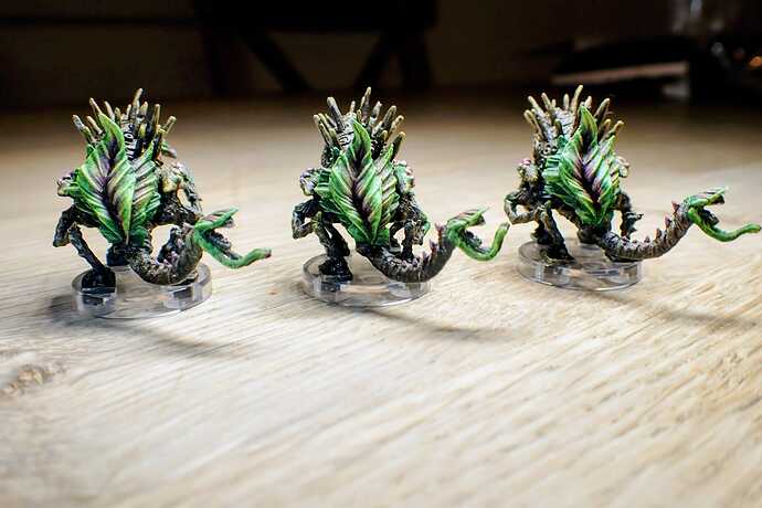 WhatsApp Image 2026-01-09 à 10.54.30_8d044c7a