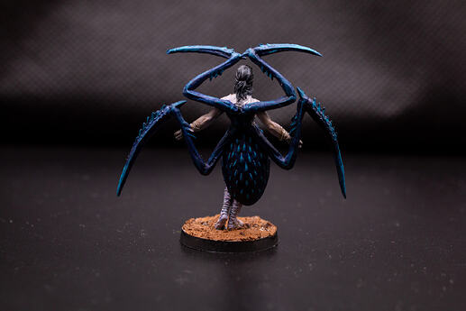 ArachneeDos-1