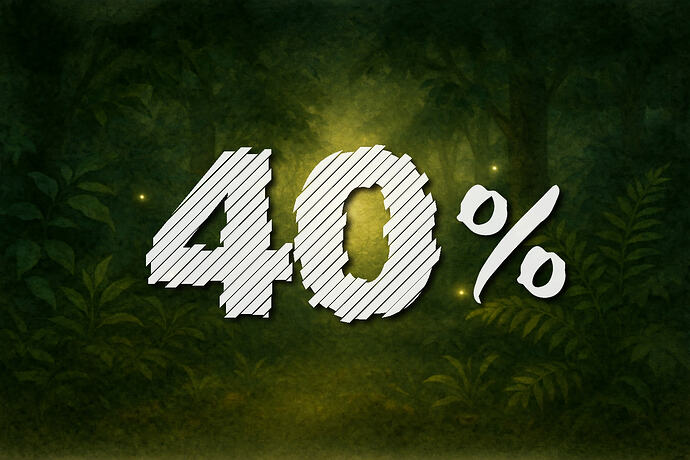 40%