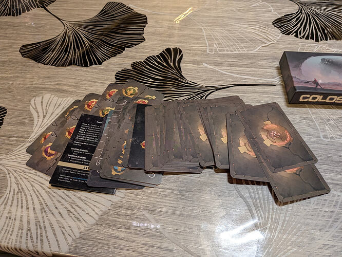 PXL_20260205_202612539