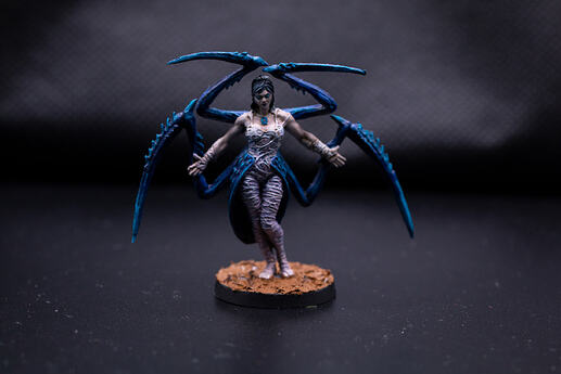 Arachnee-1