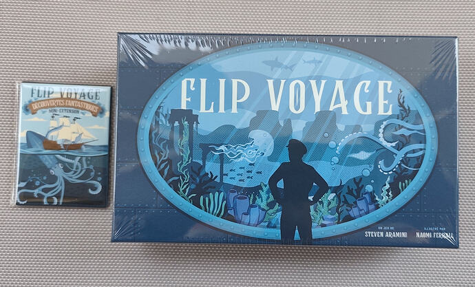 Flip Voyage