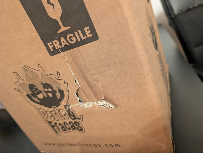 PXL_20251124_155704131.RAW-01.COVER