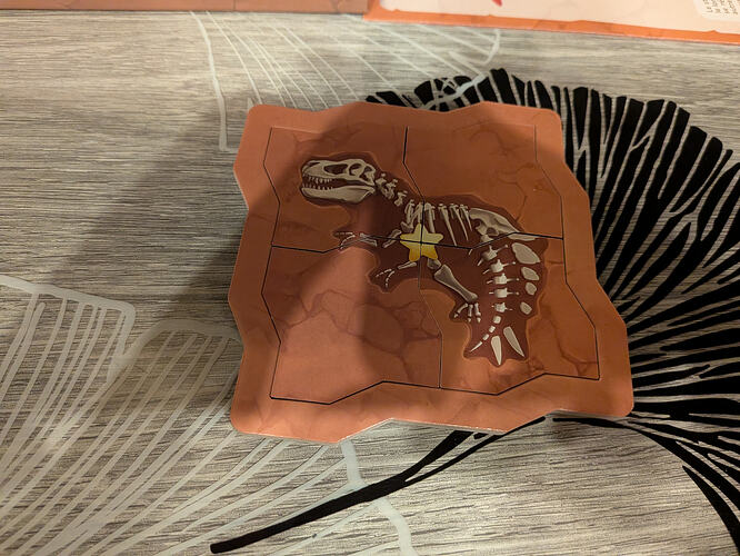 PXL_20260213_212811388